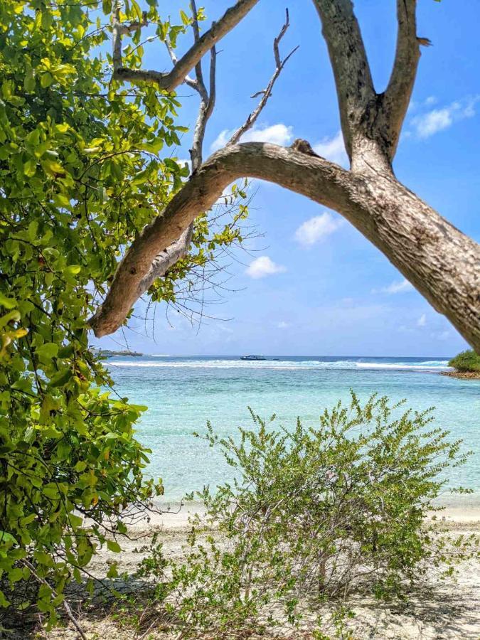 Dhoadhi Retreat Hotel Thulusdhoo Exterior photo